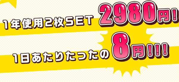 1 年使用 2 枚 SET で 2980 円 !1 日あたり 2 枚 8 円 !